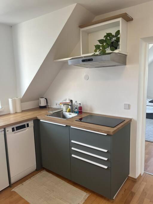 Cozy City Center Apartment Грац Екстериор снимка